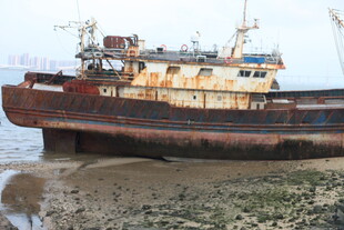 湛江搁浅旧船于滩涂