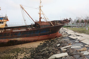 湛江搁浅旧船于岸边景象