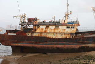 湛江搁浅旧船于海边景象