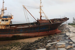 湛江搁浅渔船于岸边
