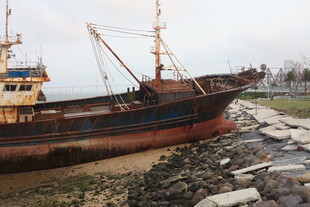 湛江搁浅渔船靠岸景象