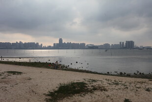 湛江城市岸边风景