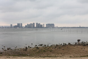 湛江湖畔城市景观 静谧自然美