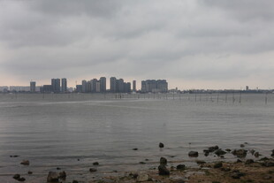 湛江城市水边景致