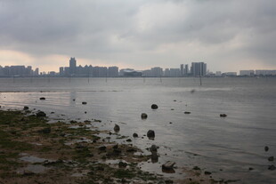 湛江江边城市景观 水面礁石