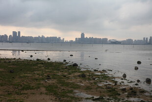 湛江城市江畔风光