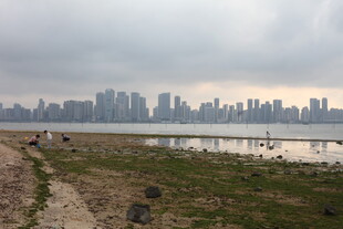 湛江城市江畔风景