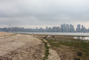 湛江城市边的河岸风景