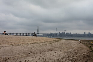 湛江江边开阔地与远处城市景观