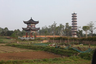 湛江田园中的古塔与古亭