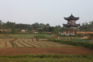 湛江田园古亭风光