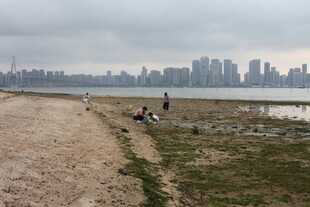 湛江江边漫步场景