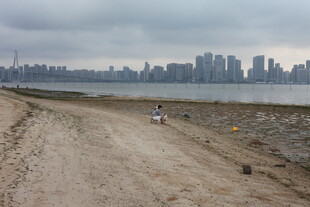 湛江城郊土路远眺城市天际线