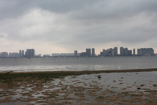 湛江阴天城市滨水景观