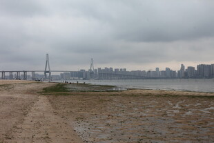 湛江江边观景 城市与桥梁景致
