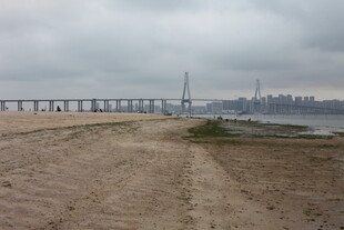 湛江海边桥梁远景景观