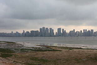 湛江城市天际线与海滨景观