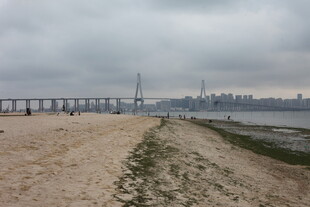 湛江海滨大桥风景