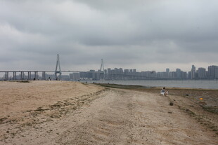 湛江城郊荒地望城市天际线