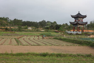 湛江田园风光中的古朴亭阁
