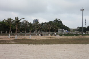 湛江海滨沙滩与棕榈树景观