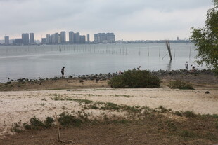 湛江湖畔城市风光 宁静景致