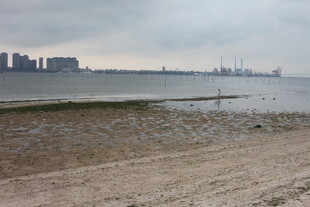 湛江海滨滩涂景象