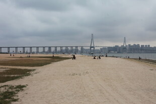 湛江海滨大桥下的漫步场景
