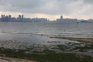 湛江海滨城市风光 水面与建筑