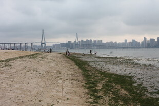 湛江海滨步道上的城市远景