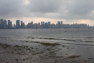 湛江海滨城市天际线景观