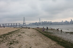 湛江海滨城市风光与桥上景致