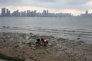 湛江海边孩童嬉戏的美好场景