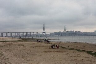 湛江江边大桥下的休闲场景