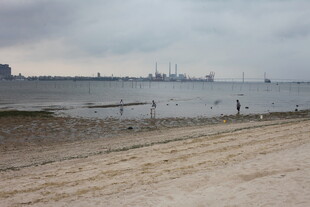 湛江海滨沙滩上的静谧景象