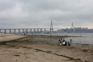 湛江海边江景下的悠闲场景