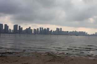 湛江海滨城市天际线景观