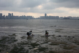 湛江城市边滩涂漫步的两人