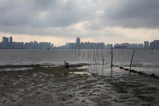 湛江阴天海滨城市景观