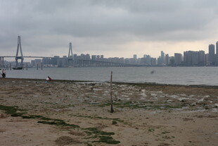 湛江江边城市景观