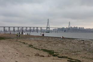 湛江海滨大桥下的休闲场景