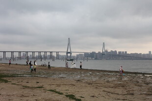 湛江海滨大桥下的休闲场景