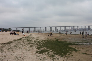 湛江海滨长桥沙滩热闹景象