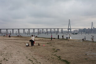 湛江海滨大桥下的休闲场景