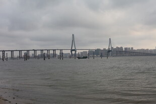 湛江江上大桥横跨云雾之中