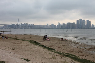 湛江海滨城市沙滩休闲景象