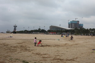 湛江沙滩上的欢乐游玩场景