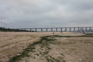 湛江江边旷野上的远桥风光