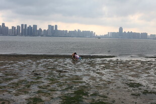 湛江海边城市景象中的孤独身影