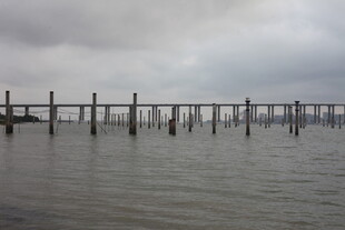 湛江海上栈桥 云雾中的静谧景致